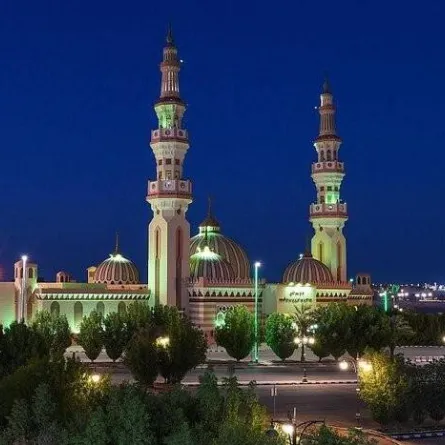 تم كذلك تزين المسطحات الخضراء والميادين في المنطقة