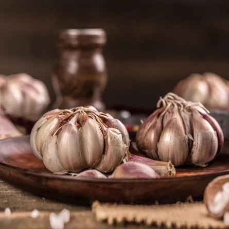 هل الثوم آمن للحامل؟