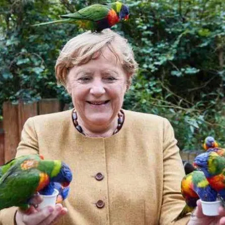 أنجيلا ماركل تحمل الببغاوات