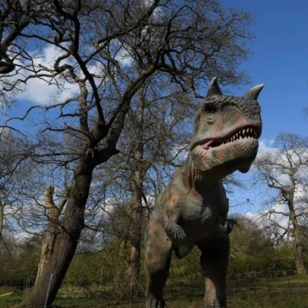 مخاوف من تكرار مأساة الانقراض الجماعي بـ "الحساء السام"