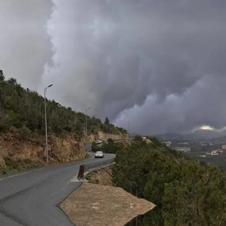 تعد مدينة عسير إحدى المدن السعودية التي تمر عبرها جبال السروات جنوب غرب المملكة مصدر الصوره موقع واس