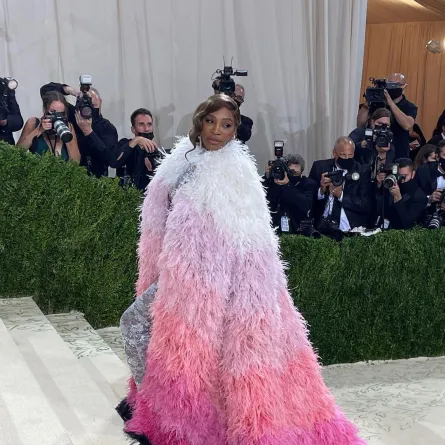 سيرينا ويليامز- الصورة من حساب Met Museum على إنستغرام