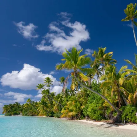 أفكار لقضاء شهر عسل اقتصادي