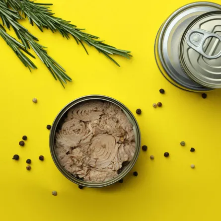 فوائد التونة المعلبة لكمال الأجسام