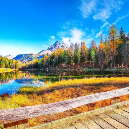 السفر في فصل الخريف