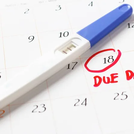 حساب فترة الخصوبة