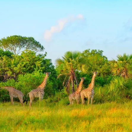 اماكن سياحية في تنزانيا