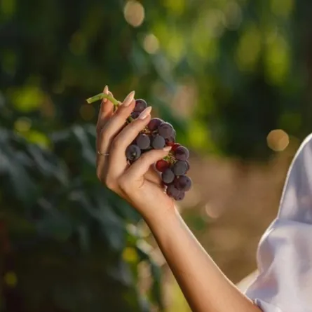 الريسفيراترول لشد البشرة والتخلص من التجاعيد