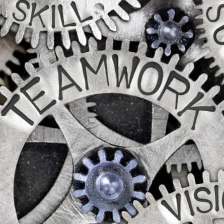 إدارة فريق العمل بنجاح