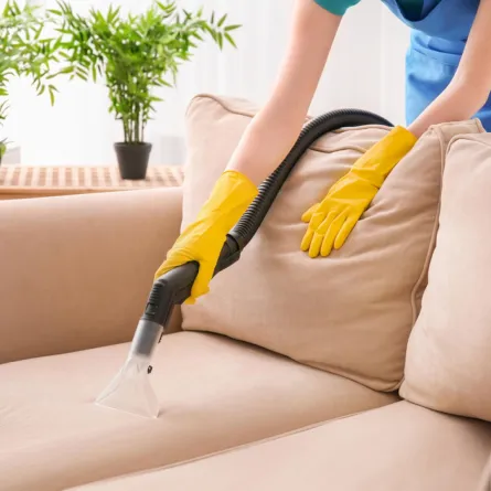 تنظيف الكنب