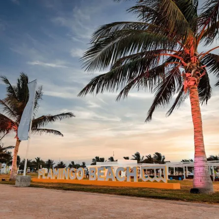 صورة لفعالية شاطئ فلامينجو 