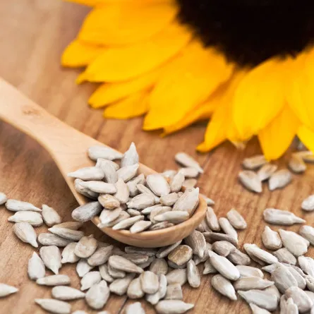 فوائد بذور اليقطين وبذور دوار الشمس لا تدعيها تفوتك أبداً