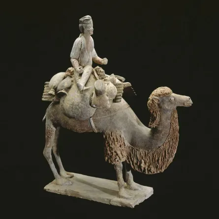 ©اتحاد المتاحف الوطنية – القصر الكبير (المتحف الوطني للفنون الآسيوية – غيميه) - تييري أوليفييه