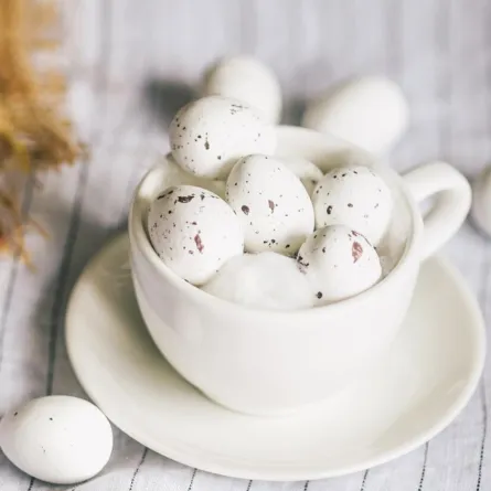  فوائد بيض السمان لا تخطر على بال