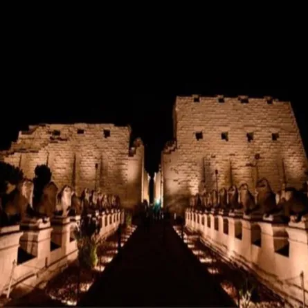 مصر تستعد في نوفمبر لافتتاح عالمي لـ"طريق الكباش"