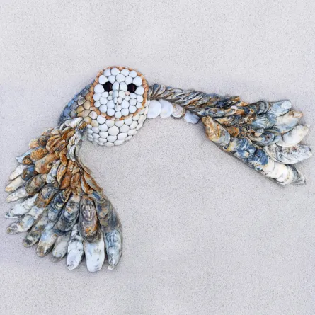 البومة - من فيس بوك آنا