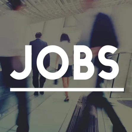 فروق بين العمل الحكومي والعمل الخاص