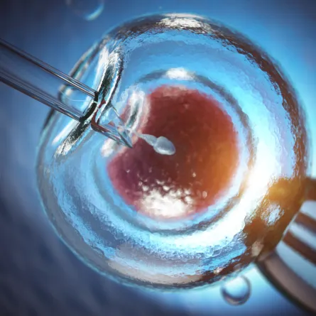 -قبل أن تبدأي رحلة التلقيح الاصطناعي