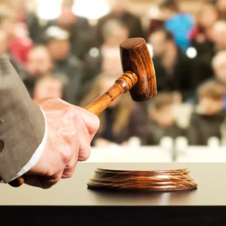 -ديناصور في مزاد عالمي وإقبال من القطاع الخاص للشراء!