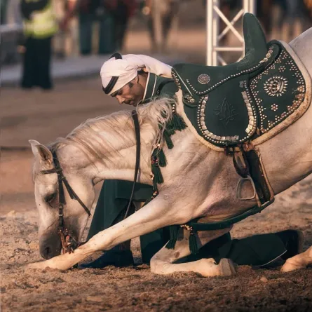 تبرز فعاليات اليوم الوطني السعودي في جدة العديد من مظاهر الاحتفاء