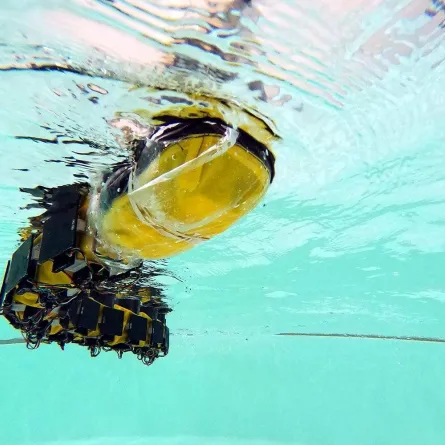 صورة الروبوت الذي يشبه الحبل الشوكي للإنسان