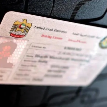 شروط وطرق تجديد رخصة القيادة "الليسن" في الإمارات