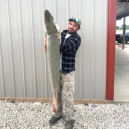 أمريكي يصطاد سمكة التمساح النادرة