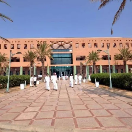 التعليم في المملكة 