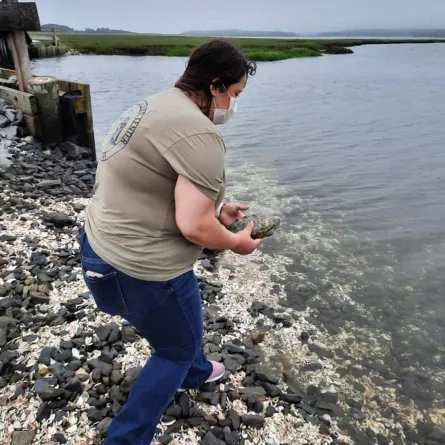 سلحفاة "غريبة الأطوار" برأسين و6 أرجل 