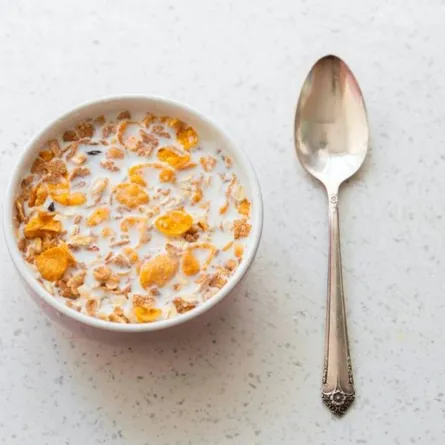 اغذية تقاوم هشاشة العظام في يومها العالمي