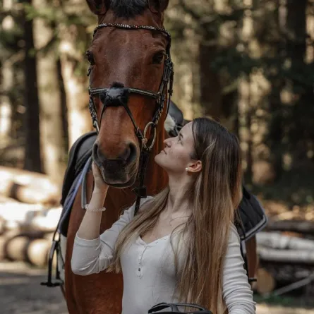 الحصان البني