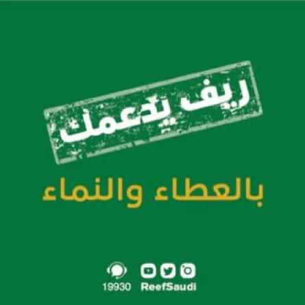 برنامج ريف