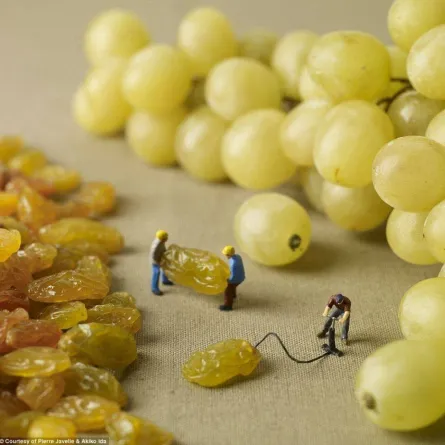 نفخ إطار العنب من المصغرات