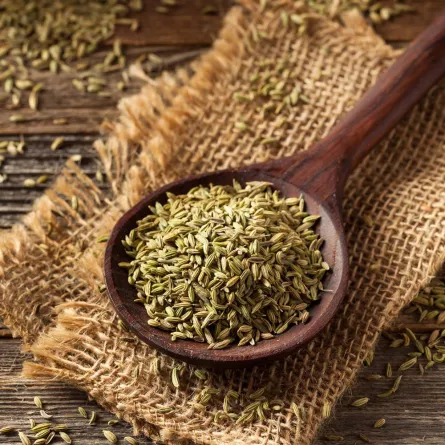 فوائد الشمر للبطن