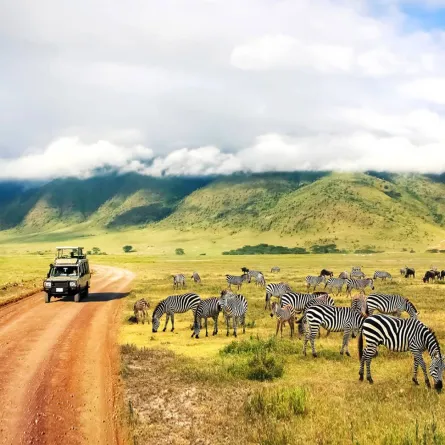 أشهر العناوين السياحية الجديرة بالزيارة في تنزانيا