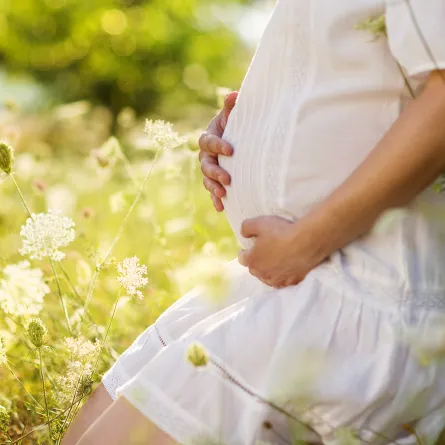 صورة لحامل فى شهور الحمل الأخيرة