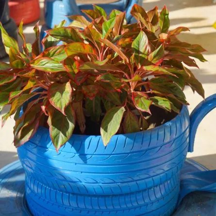 أفكار لاستخدام إطارات السيارات في تزيين الحديقة