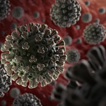 فيروس كورونا المُستجدّ