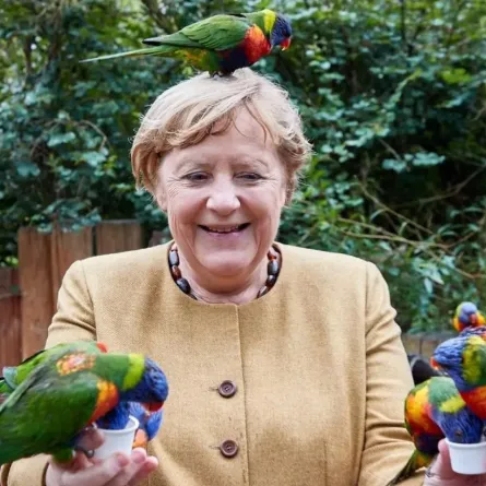 تطعم الببغاوات ذات الألوان الزاهية التي ترفرف حولها-  الصورة من وكالة الأنباء الألمانية د.ب.أ