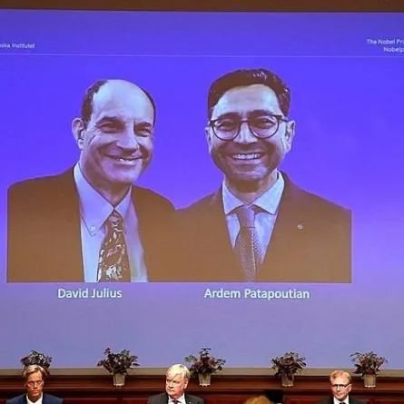 فوز العالمين الأمريكيين ديفيد جوليوس وأرديم باتابوتيان بجائزة نوبل للطب 2021