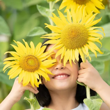 السعادة بالبساطة