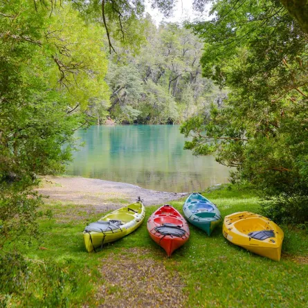 رياضة التجديف