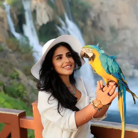 شيماء سليمان -الصورة من انستقرام الفنانة