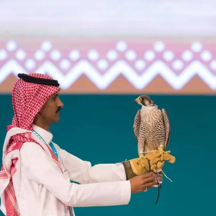 مبيعات مزاد نادي الصقور تتجاوز حاجز المليون ريال في الليلة السابعة