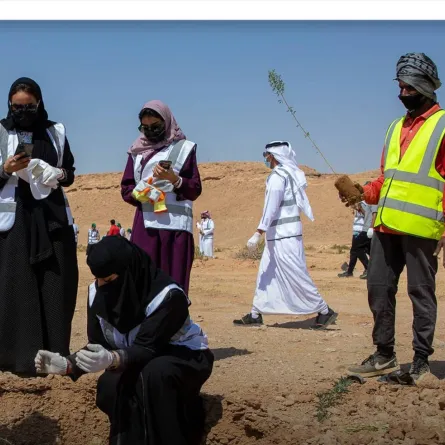 حملة التشجير- الصورة من حساب المركز في تويتر