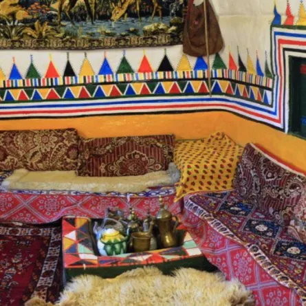 القط العسيري