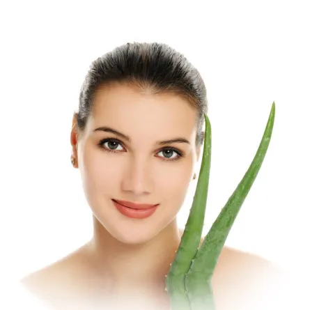 فوائد الصبار للشعر 