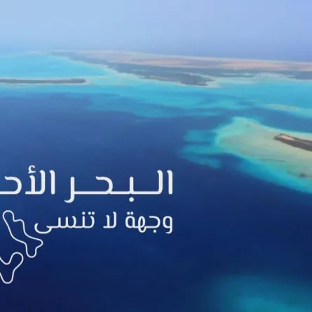 مشروع البحر الأحمر