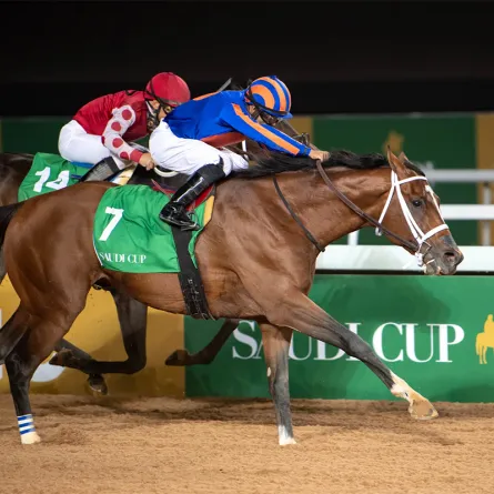 مصدر الصورة: Doug DeFelice