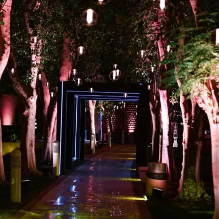 مطاعم المربع 